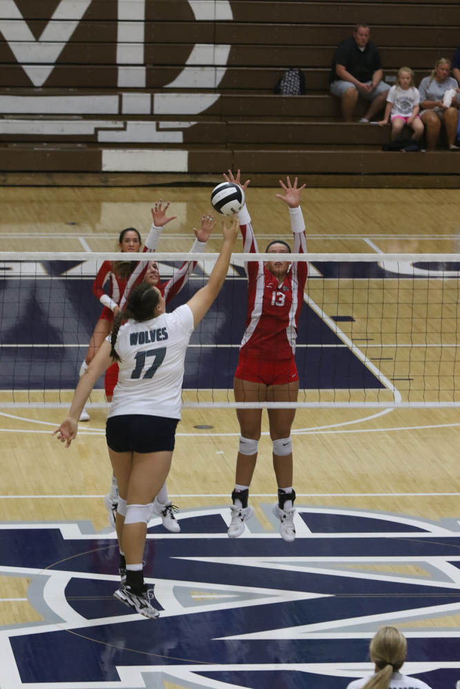 Gallery: Girls volleyball - Crown Point at Michigan City